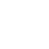 Instagram Icon/link