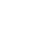 Spotify Icon/link