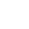 Tiktok Icon/link